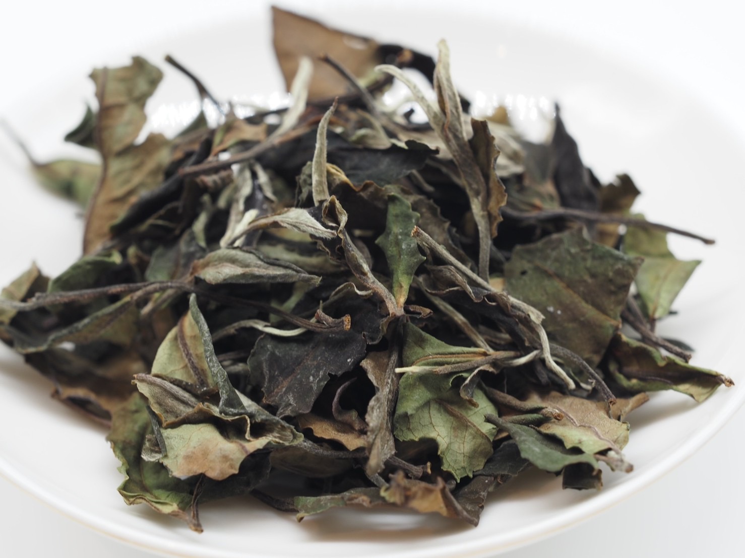 中国茶古樹白茶 古樹白茶 : お茶の専門店HOJO