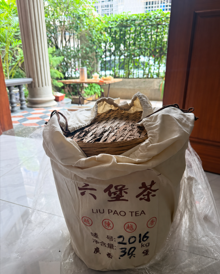 六堡茶３